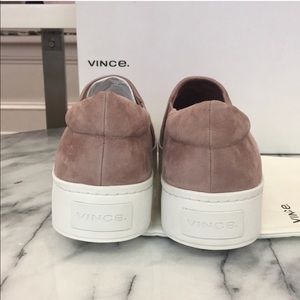 vince warren hydrangea